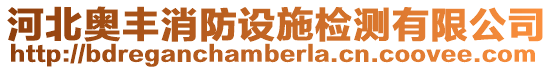 河北奧豐消防設(shè)施檢測有限公司