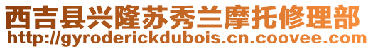 西吉縣興隆蘇秀蘭摩托修理部