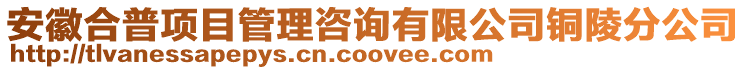 安徽合普項目管理咨詢有限公司銅陵分公司