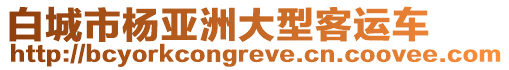 白城市楊亞洲大型客運車