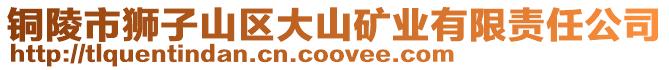 銅陵市獅子山區(qū)大山礦業(yè)有限責(zé)任公司