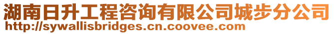 湖南日升工程咨詢有限公司城步分公司