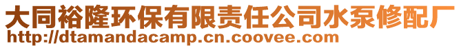 大同裕隆環(huán)保有限責(zé)任公司水泵修配廠