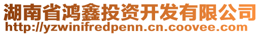 湖南省鴻鑫投資開發(fā)有限公司