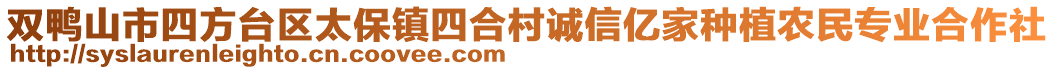 雙鴨山市四方臺區(qū)太保鎮(zhèn)四合村誠信億家種植農(nóng)民專業(yè)合作社