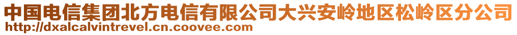 中國(guó)電信集團(tuán)北方電信有限公司大興安嶺地區(qū)松嶺區(qū)分公司