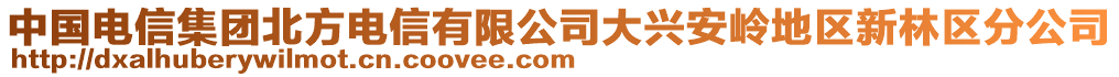 中国电信集团北方电信有限公司大兴安岭地区新林区分公司