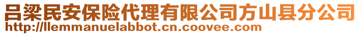 呂梁民安保險代理有限公司方山縣分公司