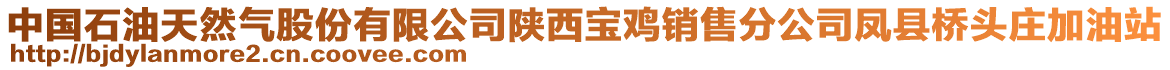 中国石油天然气股份有限公司陕西宝鸡销售分公司凤县桥头庄加油站