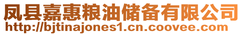 鳳縣嘉惠糧油儲備有限公司