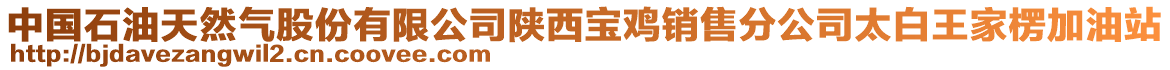 中國(guó)石油天然氣股份有限公司陜西寶雞銷(xiāo)售分公司太白王家楞加油站