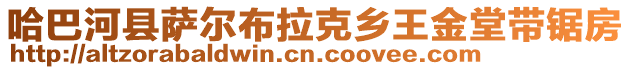 哈巴河縣薩爾布拉克鄉(xiāng)王金堂帶鋸房