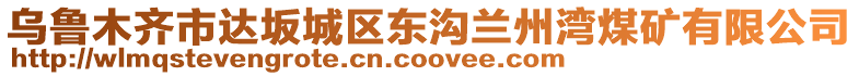 烏魯木齊市達坂城區(qū)東溝蘭州灣煤礦有限公司