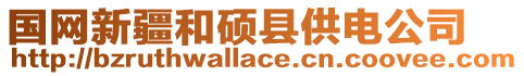 國網新疆和碩縣供電公司