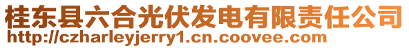 桂東縣六合光伏發(fā)電有限責任公司