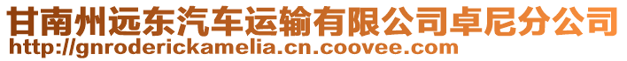 甘南州遠東汽車運輸有限公司卓尼分公司