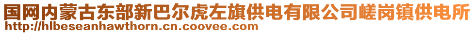 国网内蒙古东部新巴尔虎左旗供电有限公司嵯岗镇供电所