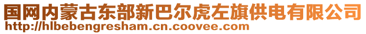 國(guó)網(wǎng)內(nèi)蒙古東部新巴爾虎左旗供電有限公司