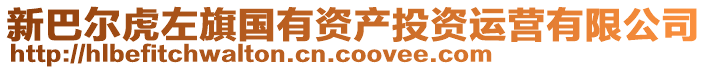 新巴爾虎左旗國有資產(chǎn)投資運營有限公司