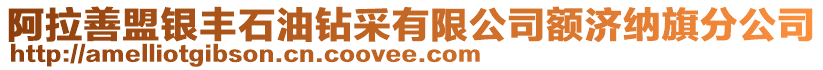 阿拉善盟銀豐石油鉆采有限公司額濟(jì)納旗分公司