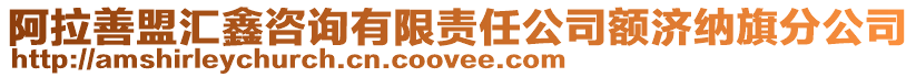阿拉善盟匯鑫咨詢有限責(zé)任公司額濟納旗分公司