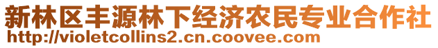 新林區(qū)豐源林下經(jīng)濟農(nóng)民專業(yè)合作社