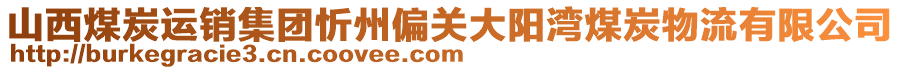 山西煤炭运销集团忻州偏关大阳湾煤炭物流有限公司