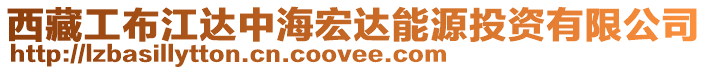 西藏工布江達中海宏達能源投資有限公司