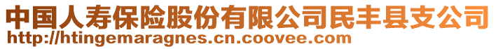 中國人壽保險股份有限公司民豐縣支公司