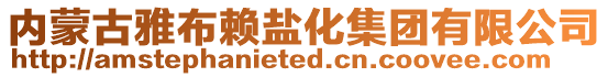 内蒙古雅布赖盐化集团有限公司