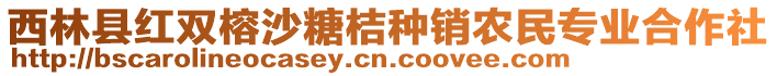 西林縣紅雙榕沙糖桔種銷農(nóng)民專業(yè)合作社