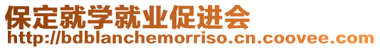 保定就學(xué)就業(yè)促進(jìn)會(huì)