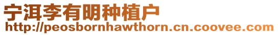 寧洱李有明種植戶