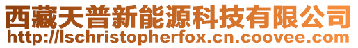 西藏天普新能源科技有限公司
