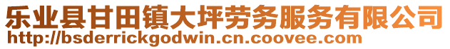 樂業(yè)縣甘田鎮(zhèn)大坪勞務服務有限公司