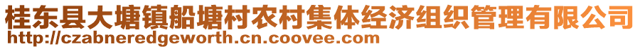 桂東縣大塘鎮(zhèn)船塘村農(nóng)村集體經(jīng)濟組織管理有限公司