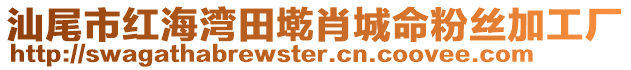 汕尾市紅海灣田墘肖城命粉絲加工廠