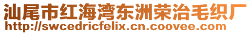 汕尾市紅海灣東洲榮治毛織廠