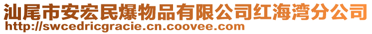 汕尾市安宏民爆物品有限公司紅海灣分公司