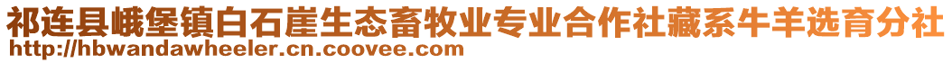 祁連縣峨堡鎮(zhèn)白石崖生態(tài)畜牧業(yè)專業(yè)合作社藏系牛羊選育分社