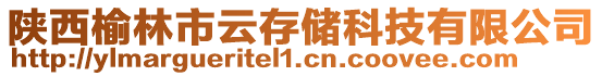 陜西榆林市云存儲科技有限公司