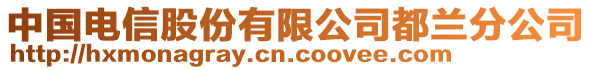 中國電信股份有限公司都蘭分公司