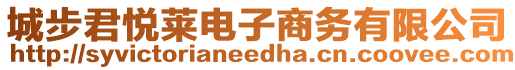 城步君悅?cè)R電子商務(wù)有限公司