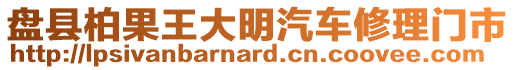 盤縣柏果王大明汽車修理門市