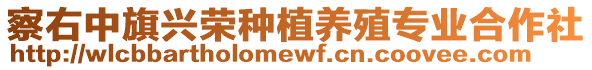 察右中旗興榮種植養(yǎng)殖專業(yè)合作社