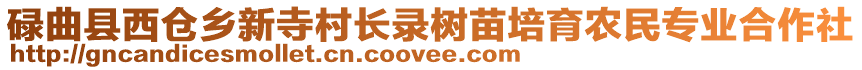 碌曲縣西倉鄉(xiāng)新寺村長錄樹苗培育農(nóng)民專業(yè)合作社