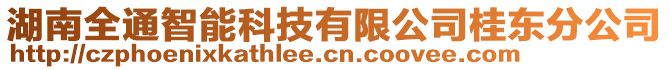 湖南全通智能科技有限公司桂東分公司