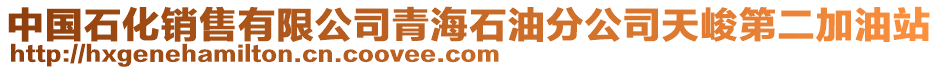 中國(guó)石化銷(xiāo)售有限公司青海石油分公司天峻第二加油站