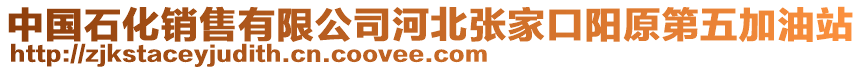 中國(guó)石化銷(xiāo)售有限公司河北張家口陽(yáng)原第五加油站