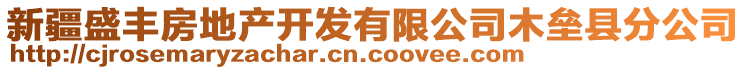 新疆盛豐房地產(chǎn)開發(fā)有限公司木壘縣分公司